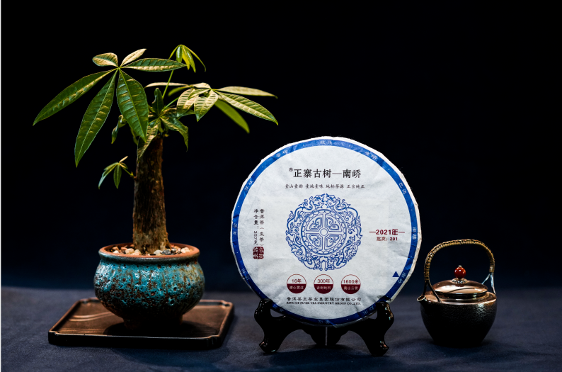 2024年免费资科大全